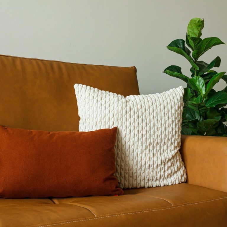 Wohnraumdetail – Sofa und Pflanze Wohnraumgestaltung: braunes Sofa mit dekorativen Kissen und Pflanze als Raumakzent.